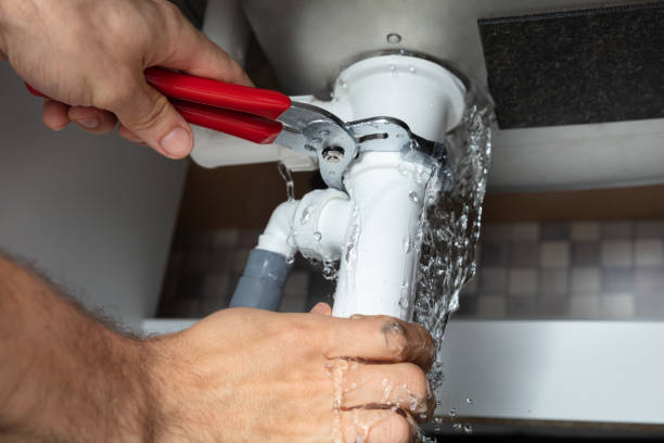 Best Water damage cleanup near me  in Scandia, MN