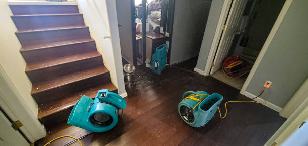 Best Flooded house restoration  in Scandia, MN