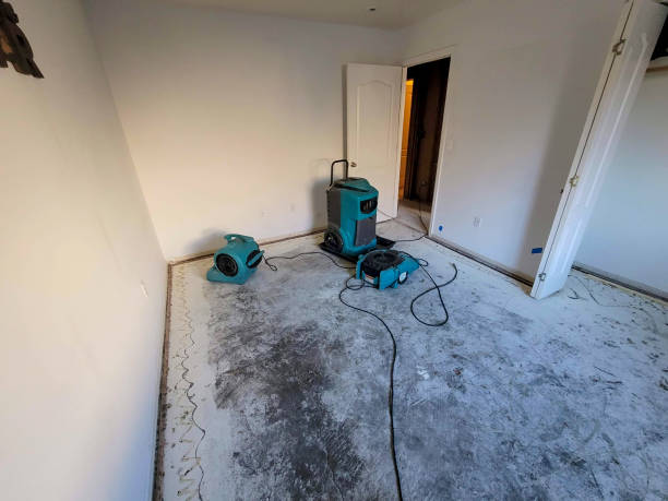Best Flood damage cleanup  in Scandia, MN