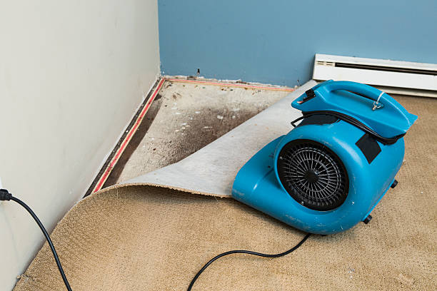 Best Fire Damage Restoration  in Scandia, MN