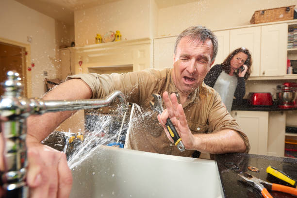 Best Emergency water damage restoration  in Scandia, MN